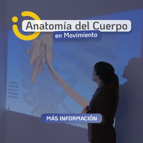 Anatomía en Movimiento